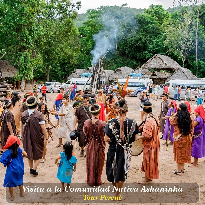 Habitación con literas
